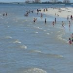 article image -
